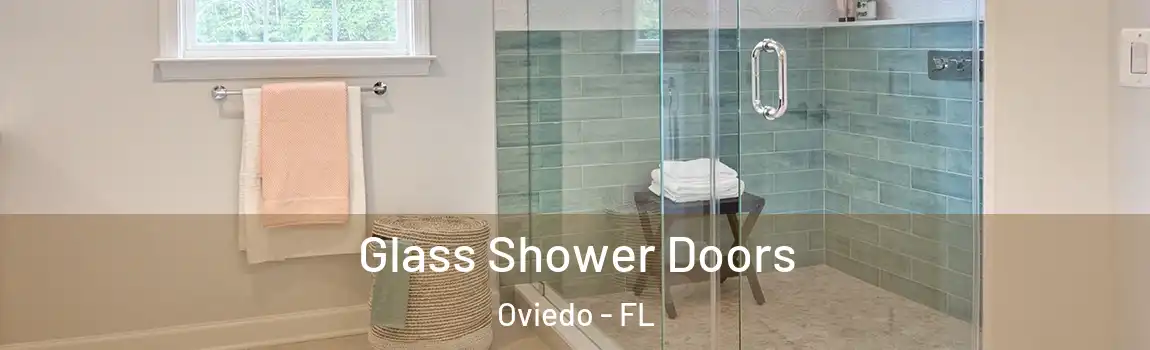 Glass Shower Doors Oviedo - FL