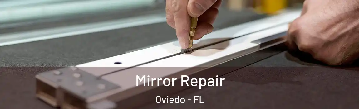 Mirror Repair Oviedo - FL