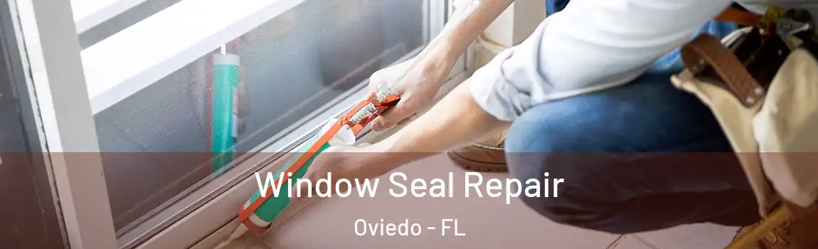 Window Seal Repair Oviedo - FL